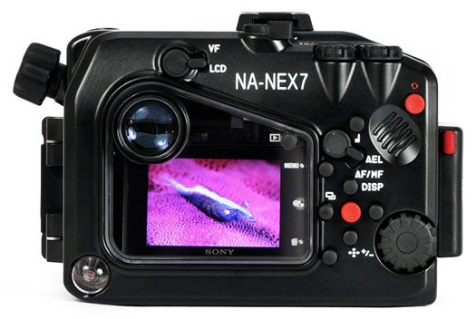 sony nex-7 nauticam underwater housing