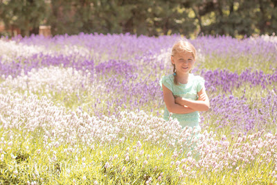 Shannon Hager Photography, Lavender Field Portraits