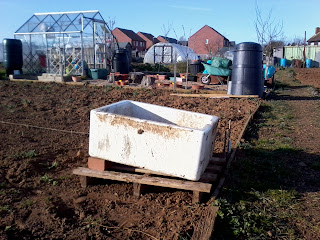 sinks at the allotment