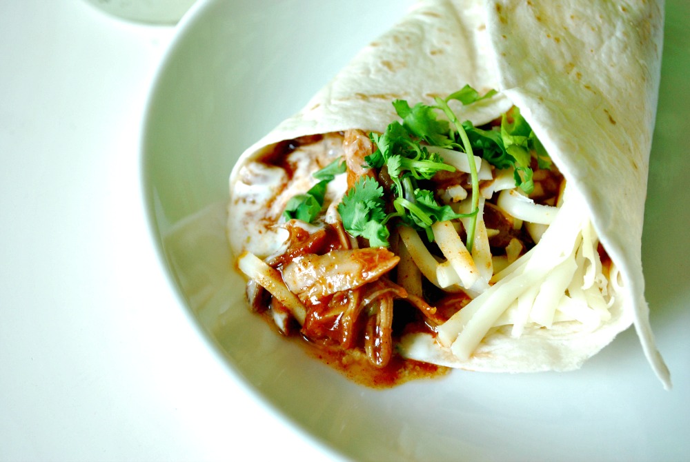 Larissa Another Day Tex Mex Shredded Pork Burritos
