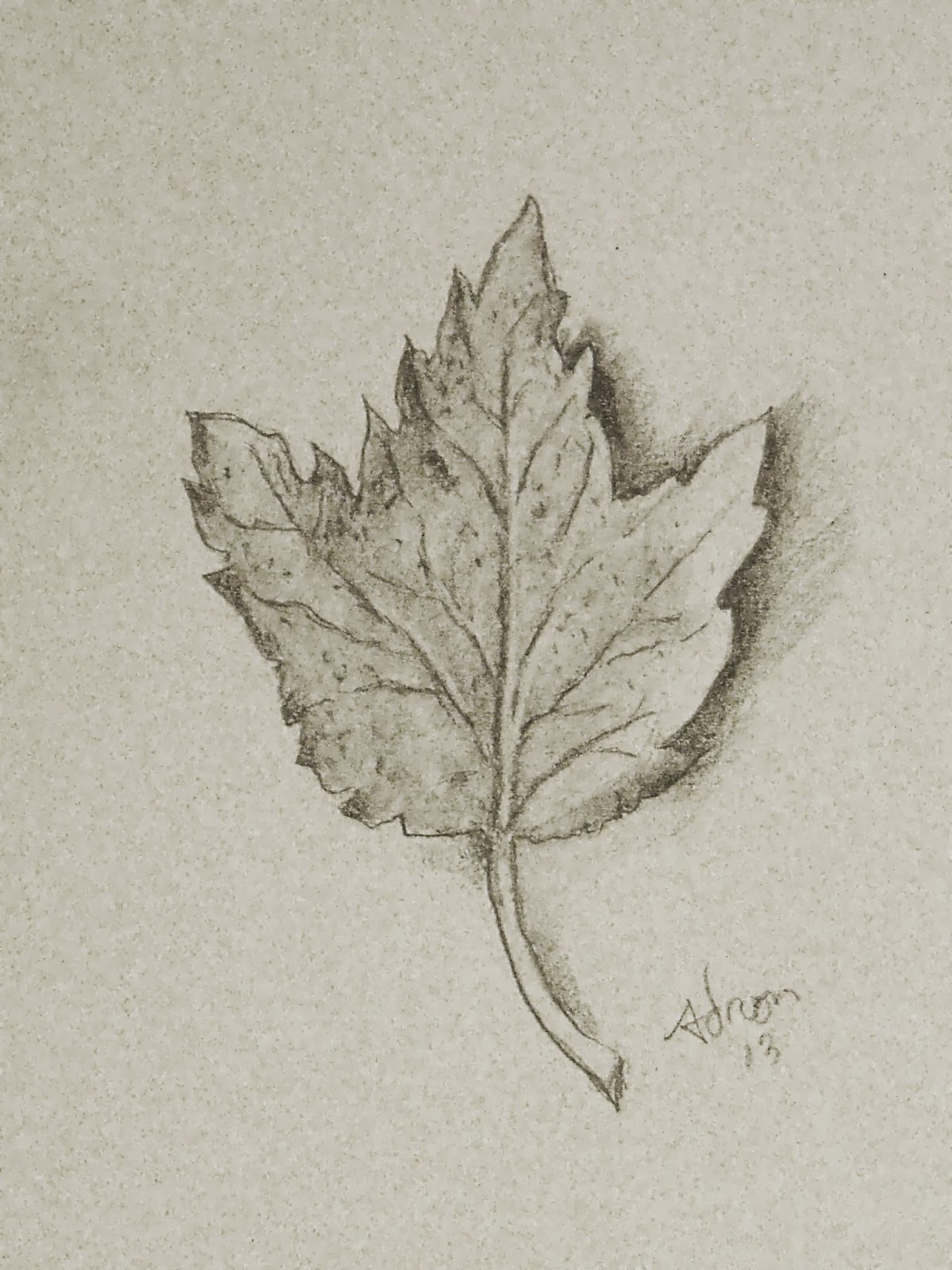 Cute Sketch Leaf Drawing 