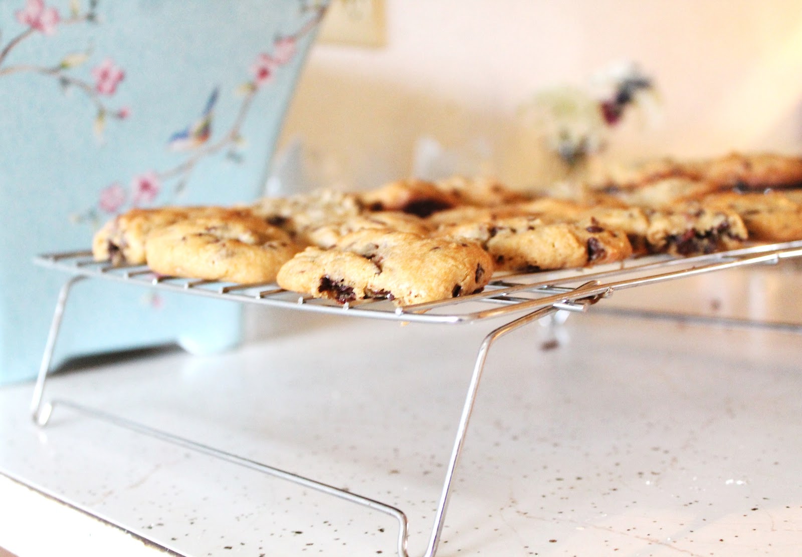 Feeding Prince Charming Just Like BadForYou Toll House Cookies...In A Good Way