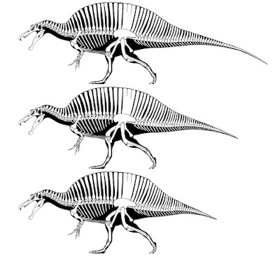 dinosaur research paper dinosaur research paper