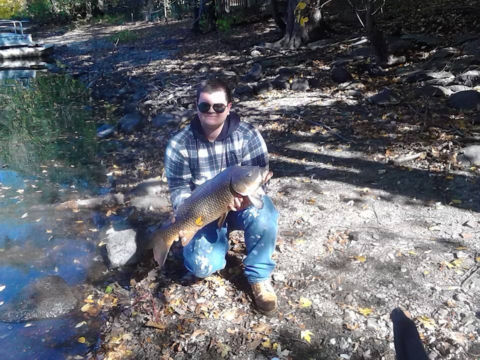 16lb common carp from the Sudbury river