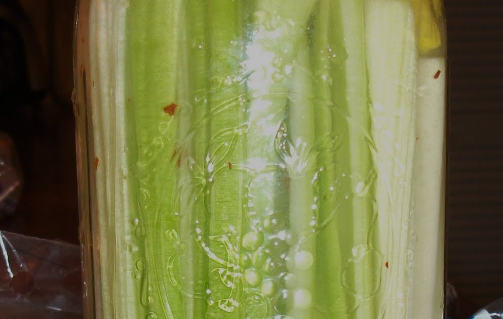 Joans Low Carb Living and Recipes My Pickled Celery Snack recipe low carb