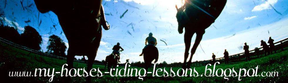horses riding lessons | horse back riding lessons