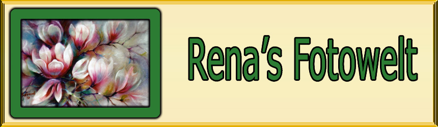 Rena's Fotowelt