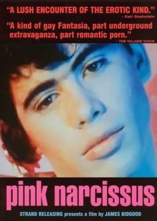 Pink Narcissus, film