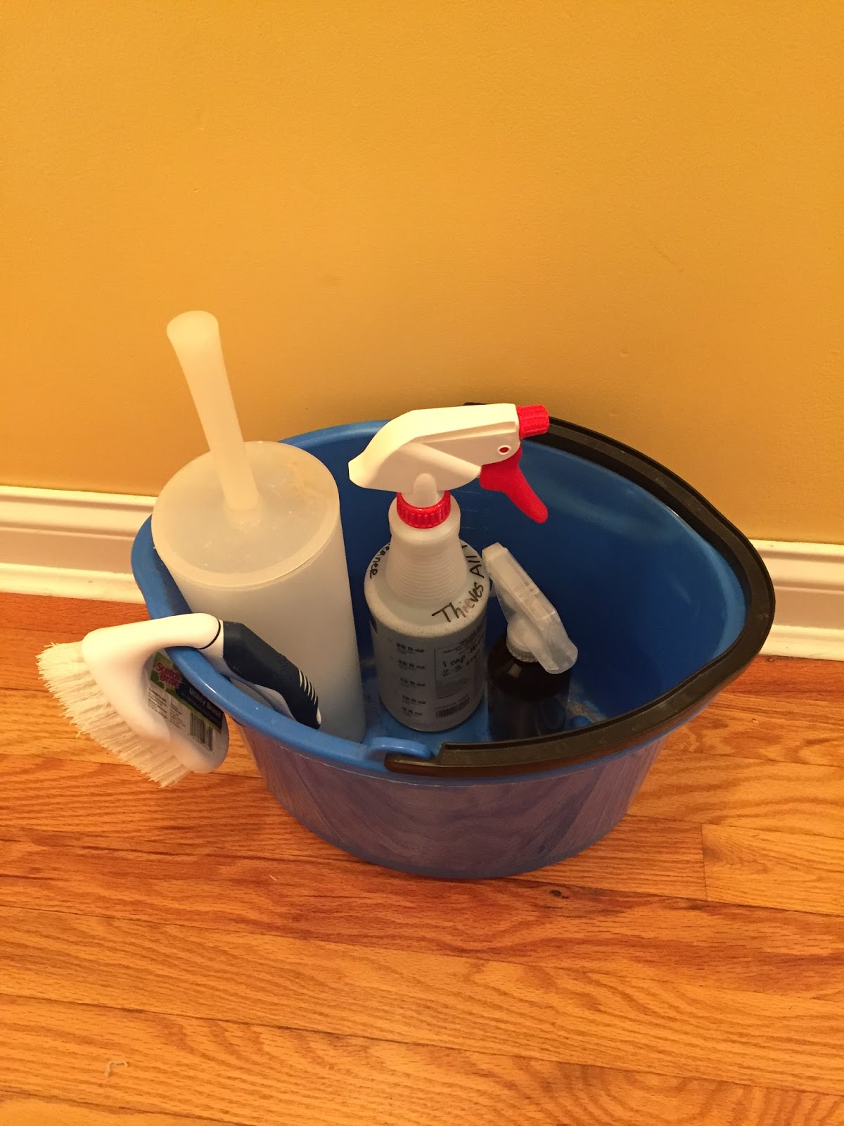 Anchored Living Thieves Cleaner All Purpose Cleaning Spray