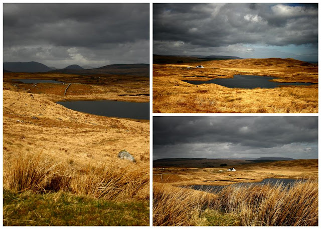 Connemara landscapes  