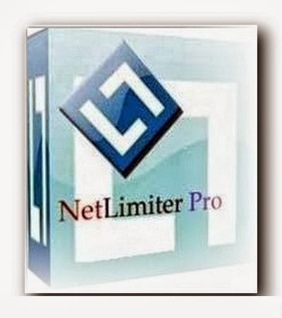 NetLimiter Pro 4.1.2 Crack Full Version With Serial Key 2020