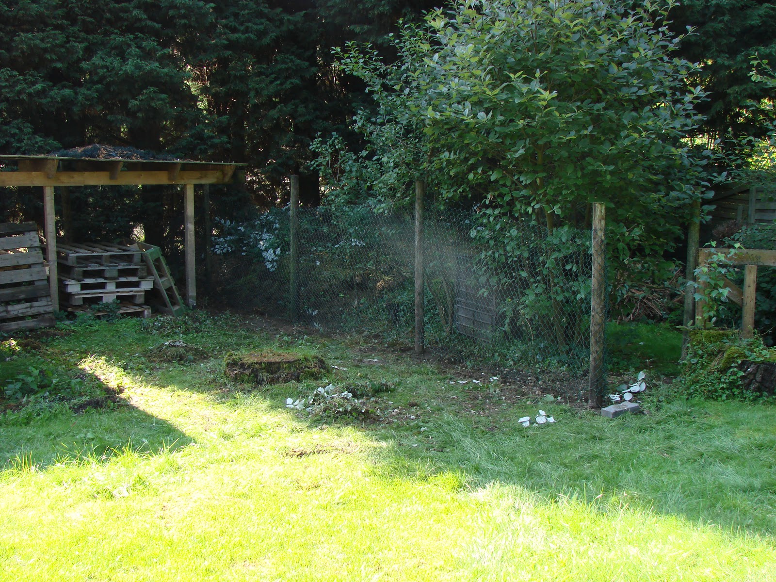 Ons waldlagehaus: augustus 2010