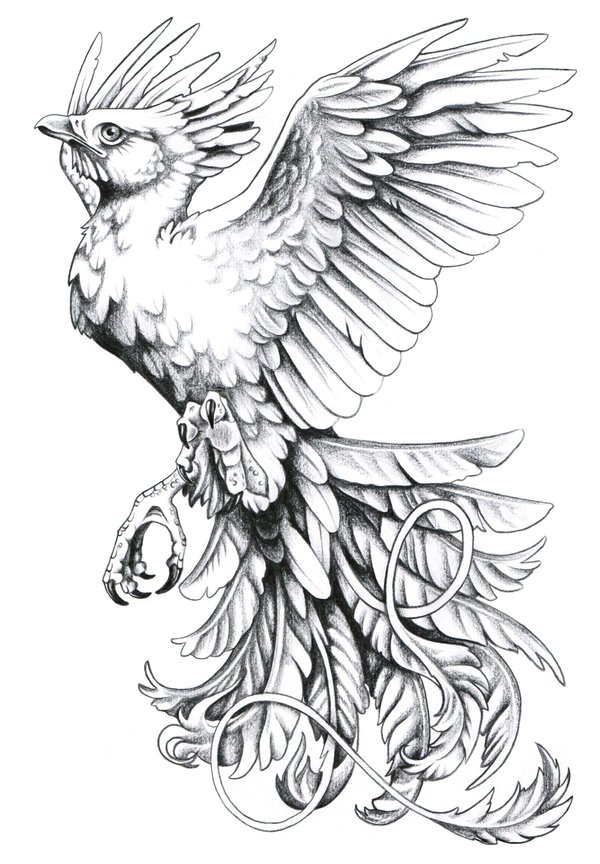 tattoo designs phoenix 03 | The Collectioner