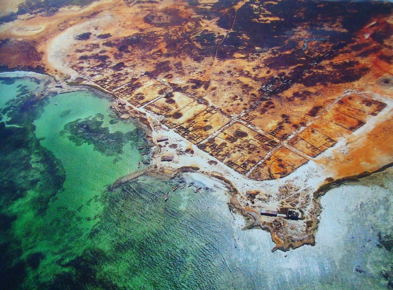 Nueva Cádiz Alchetron, The Free Social Encyclopedia