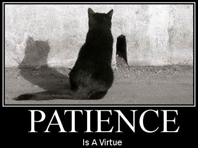 Patience-is-a-Virtue.jpg.