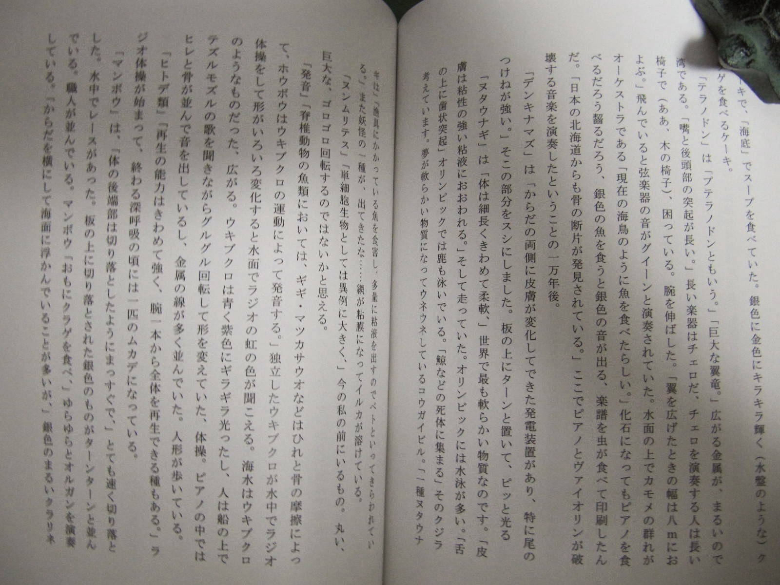 亰雜物的野乘 小笠原鳥類 夢と幻想と出鱈目の生物学評論集 Archaeopteryx刊