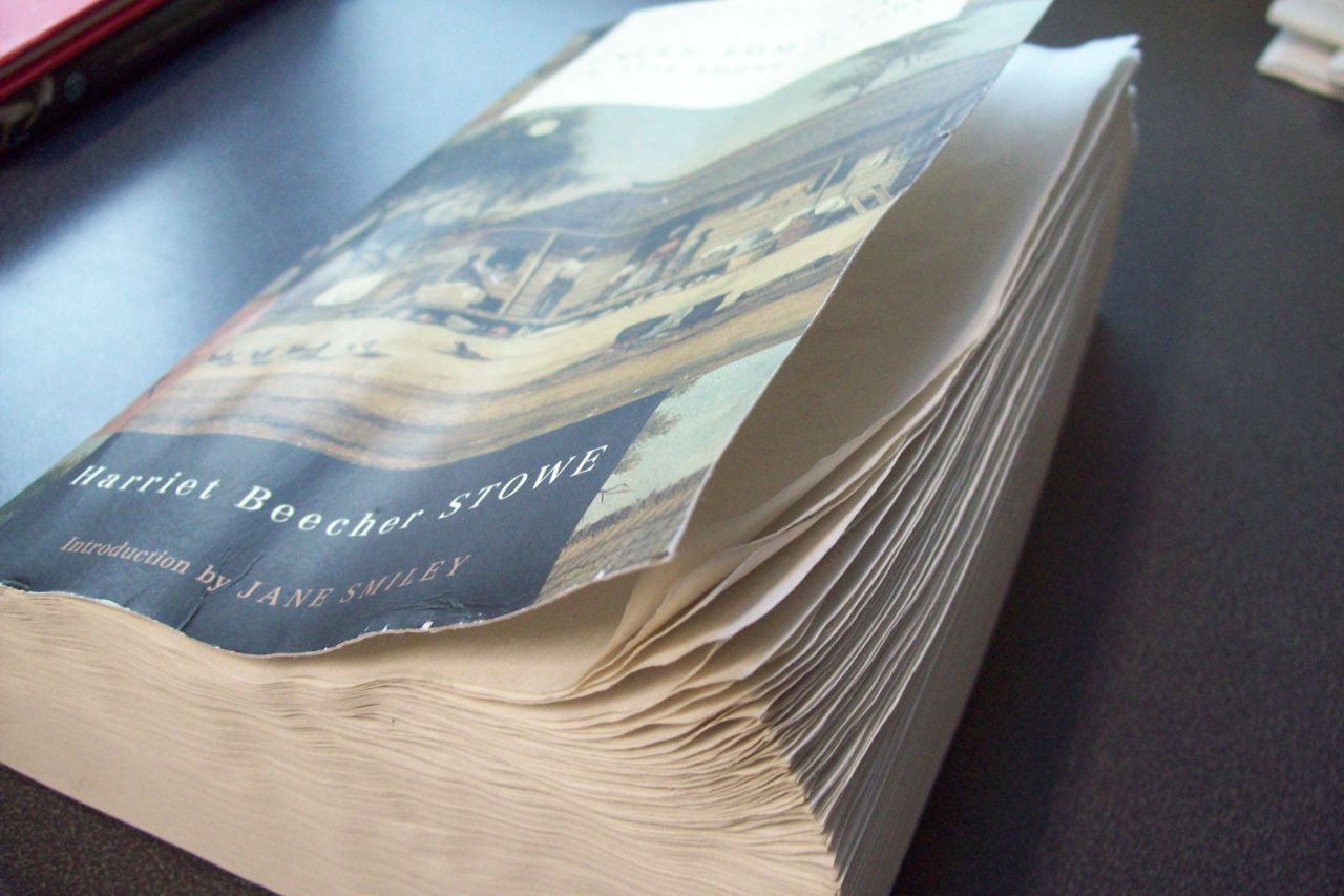 journal illustrations and musings books