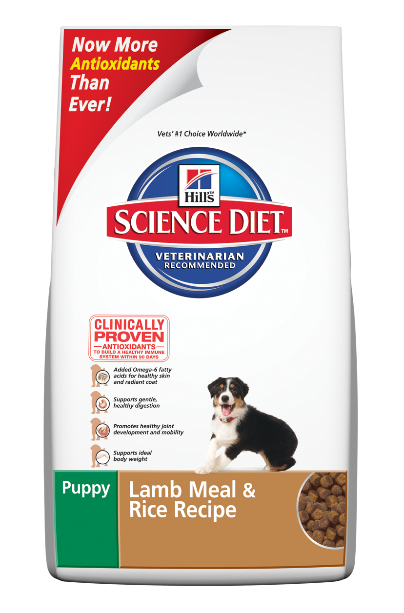 Little Pet House Your Budget Friendly Online Pet Shop in Singapore