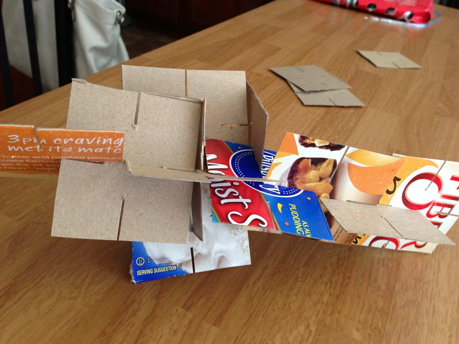 "You Can Do It" Homemade Developmental Toys and Activities Cardboard