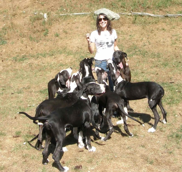 Great Danes Service Dog Project Ipswich, Massachusetts Outdoor Travel Blog Sharing Travel