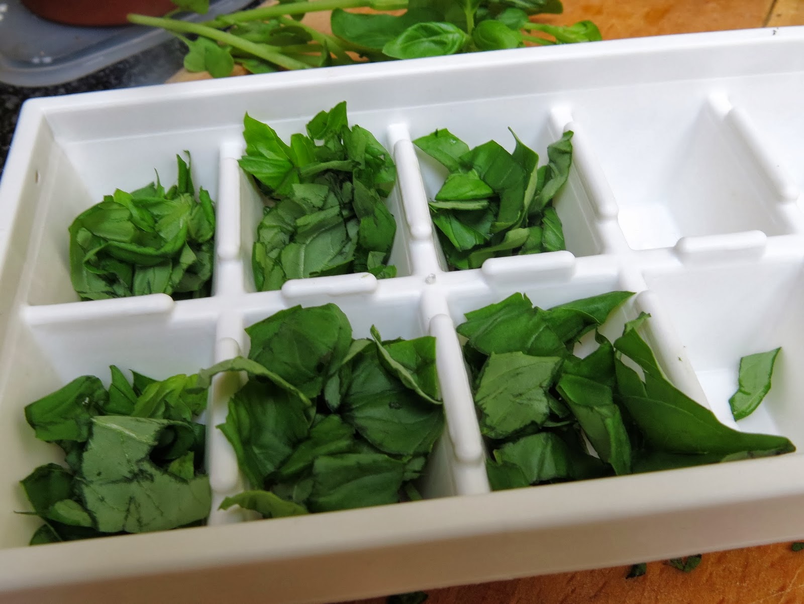 Secret Garden Club Hanging on to herbs