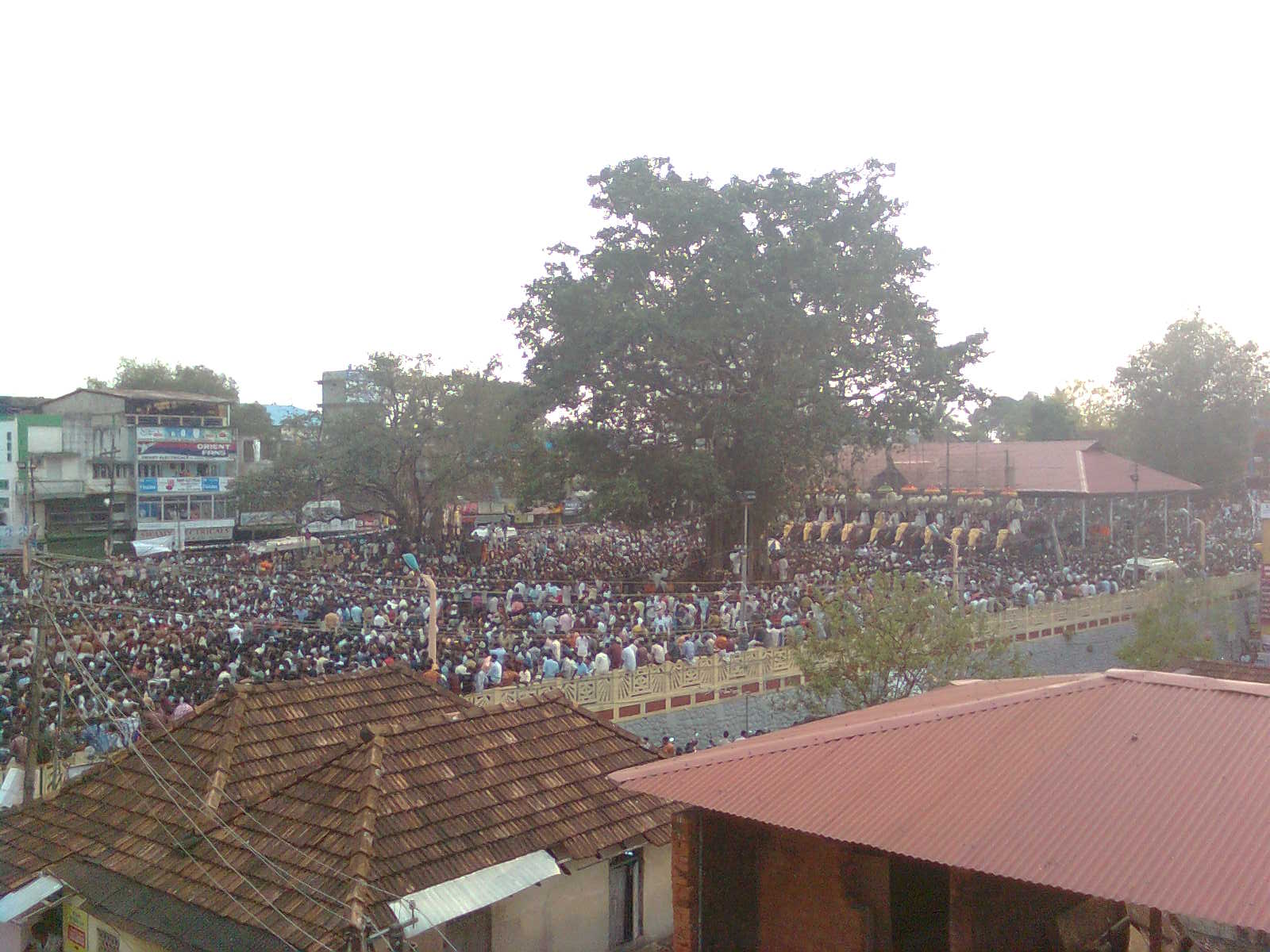 thirunakkara pakalpooram