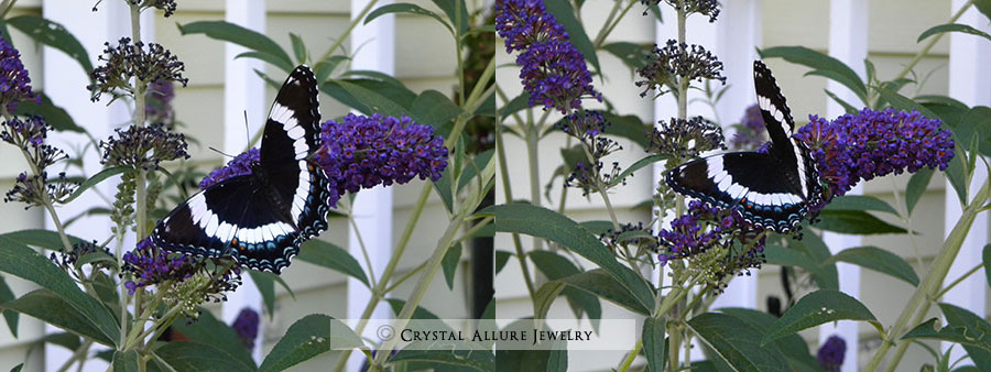 Its Time Spirea Butterfly Bush And Lifting A Tree S Canopy