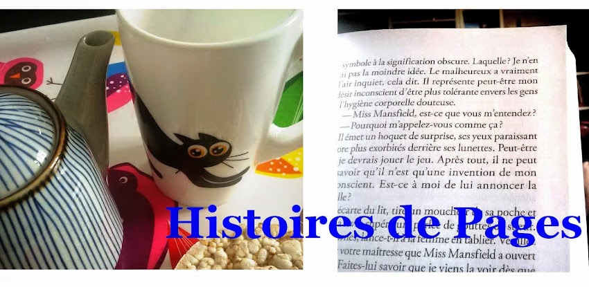 Histoires de Pages