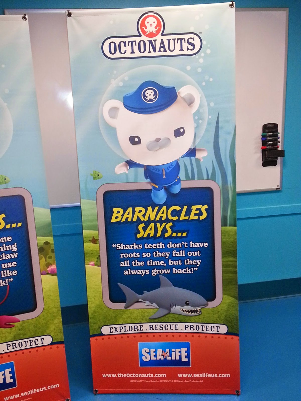 Meet the Octonauts at Sea Life Aquarium Charlotte/Concord in September