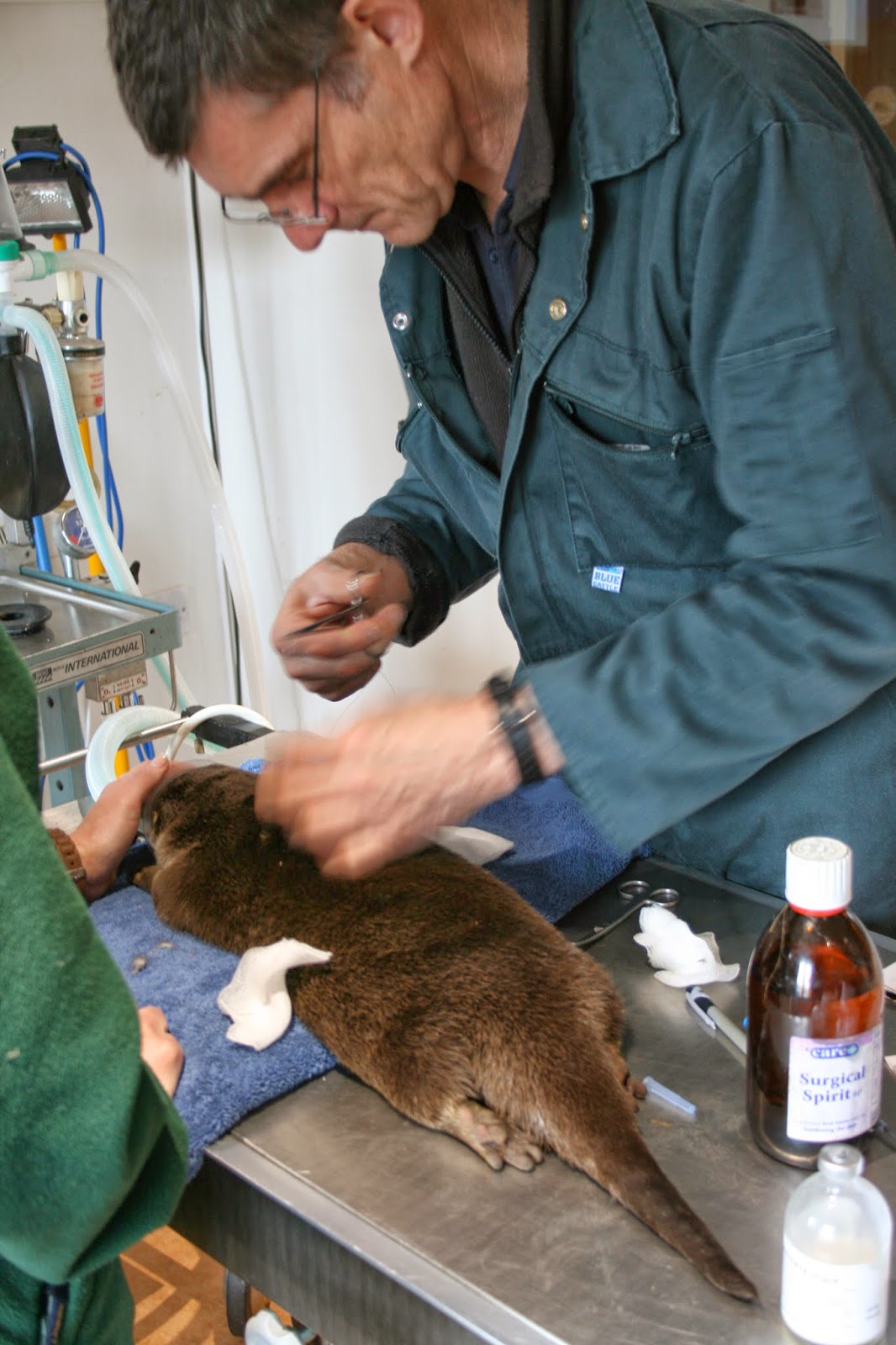 Paradise Zoo News Our vet Dr. John Lewis visits Paradise…
