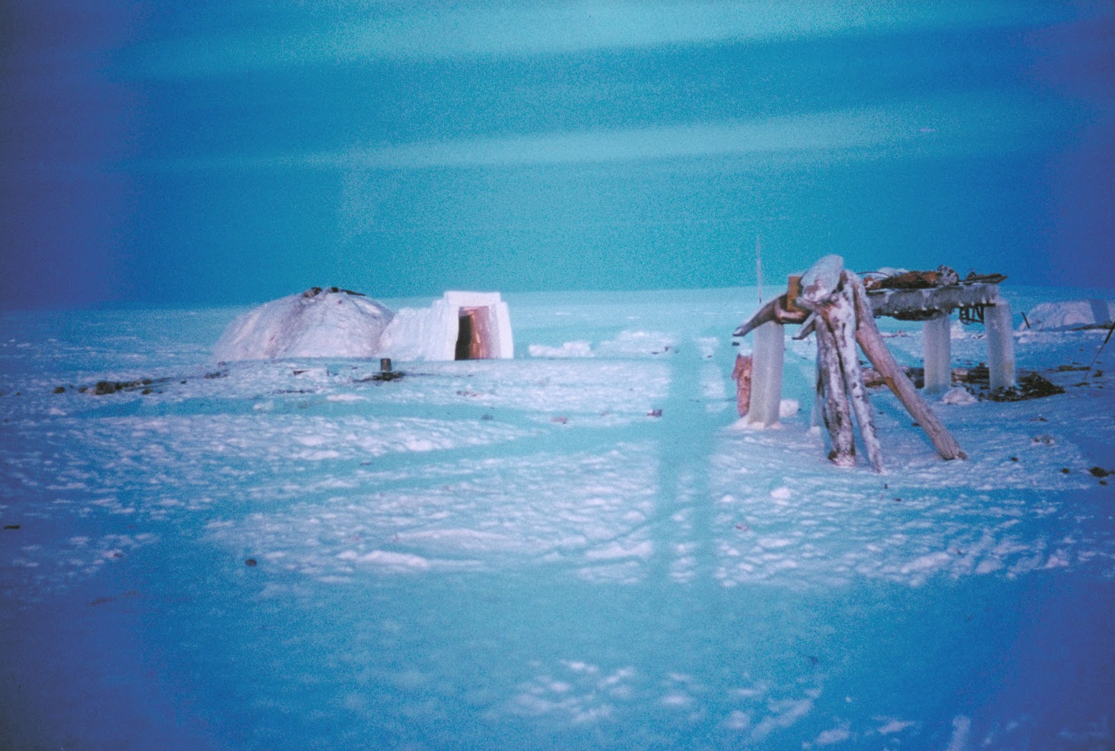 Strange Syndromes Arctic Hysteria Syndrome