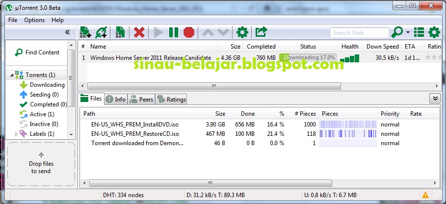Torrent Windows Home Server 2011 Isolated