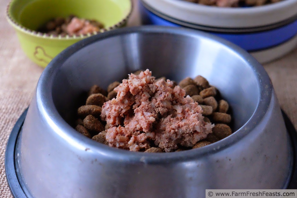 Farm Fresh Feasts TLC for Rescue(d) Dogs A Recipe with Results