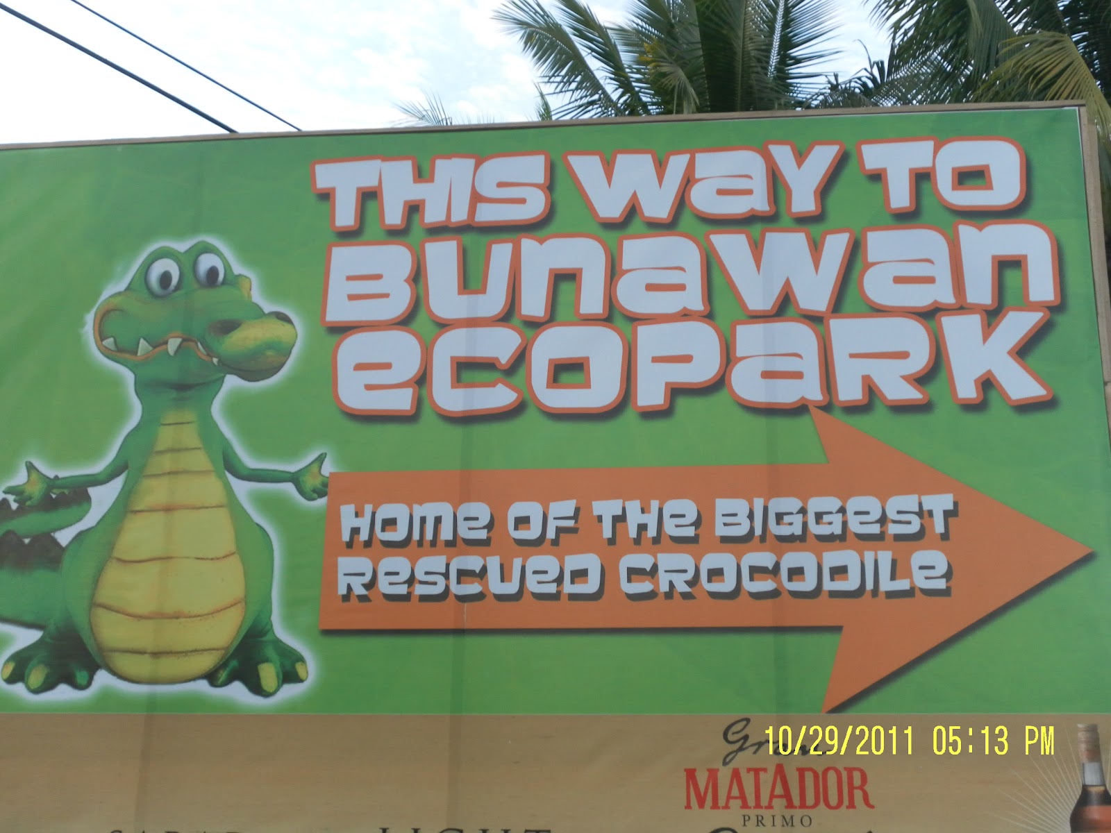 Philipphine Treasures The Giant Crocodile "LOLONG" at Bunawan, Agusan