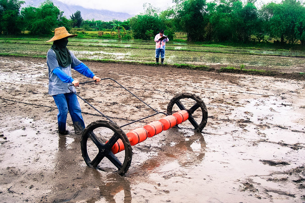 Inca Philippines Rice Drum Seeder