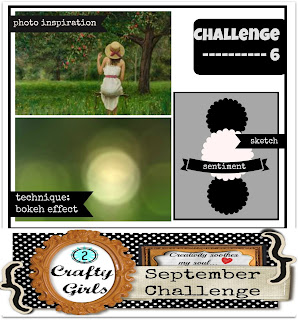 http://thememorynest.blogspot.com/2015/08/2-crafty-girls-challenge-6.html