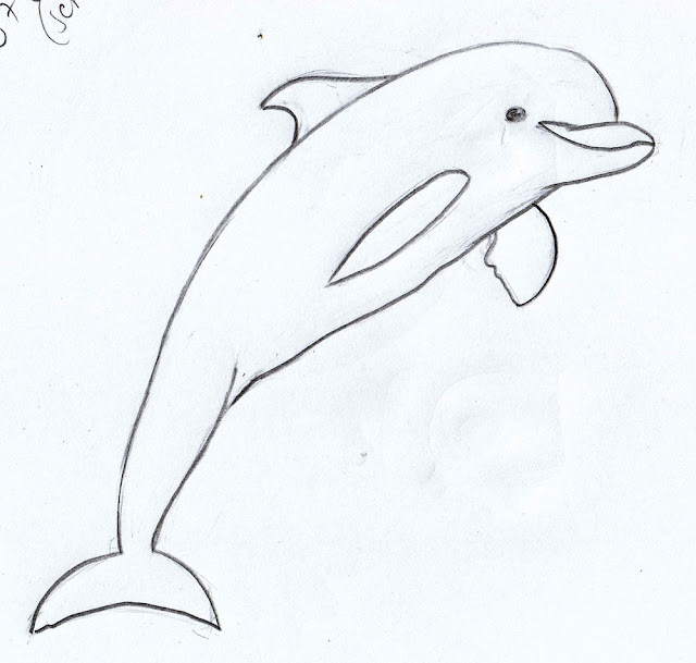 Weekly Doodles and tuts How to draw a Dolphin tutorial