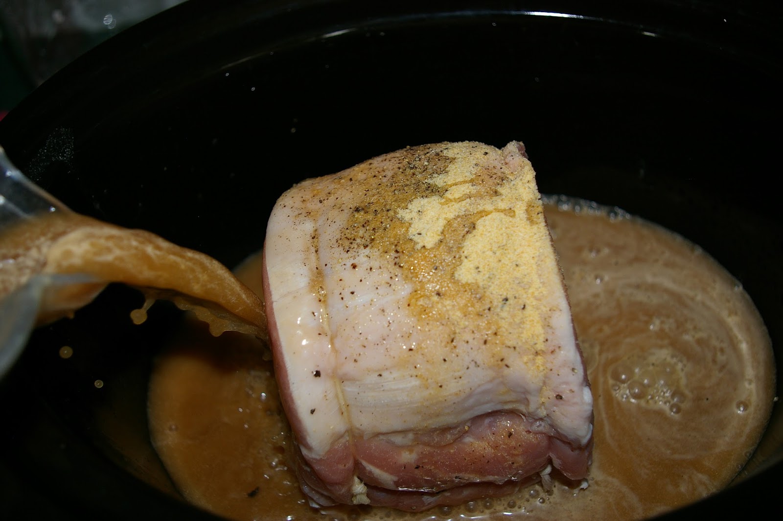 Emmy in her Element Fall apart Pork crock pot roast