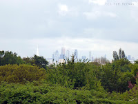 Walking through Epping Forest - views of the London skyline