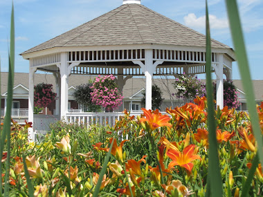 Gazebo in Lily Garden