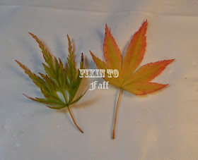 spring maple leaf leaves nail art