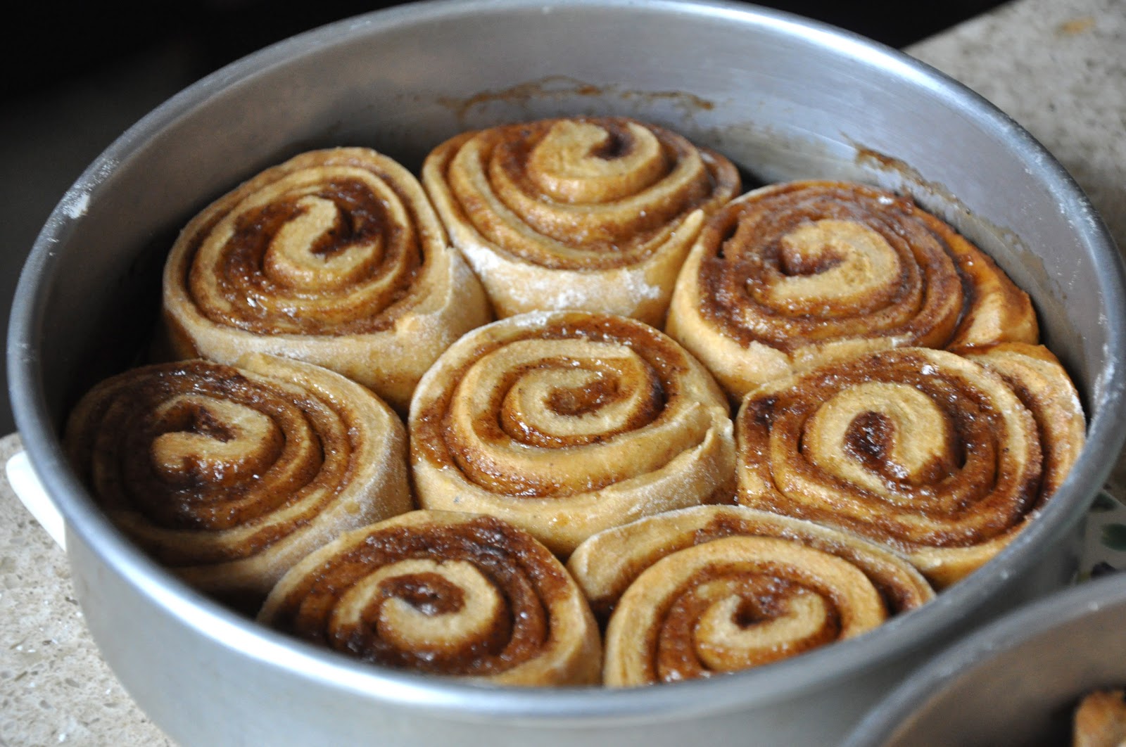 Sophia's Sweets Greek Yogurt Cinnamon Buns