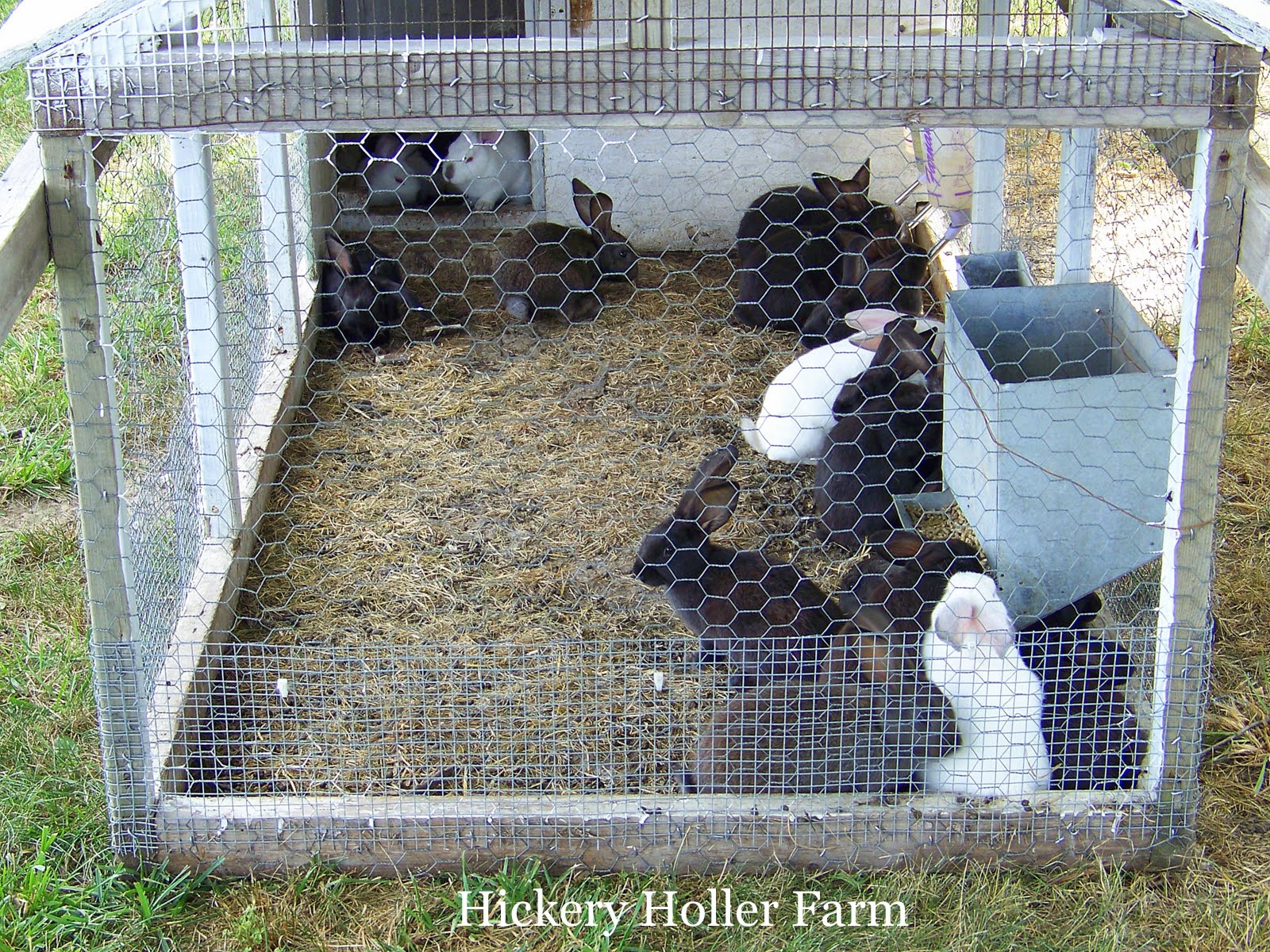 Hickery Holler Farm Winter Meat