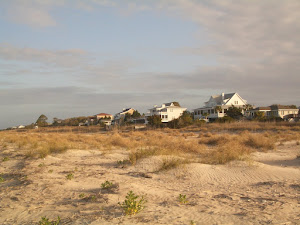 Edisto Beach