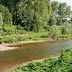 Gli effetti sulla biodiversità degli interventi di riqualificazione del fiume Serio