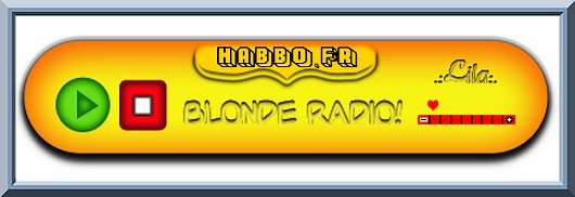 Blonde Radio, Habbo Hotel Team