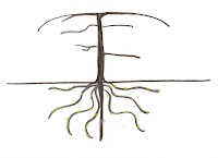 Tree Motif for Tree Following