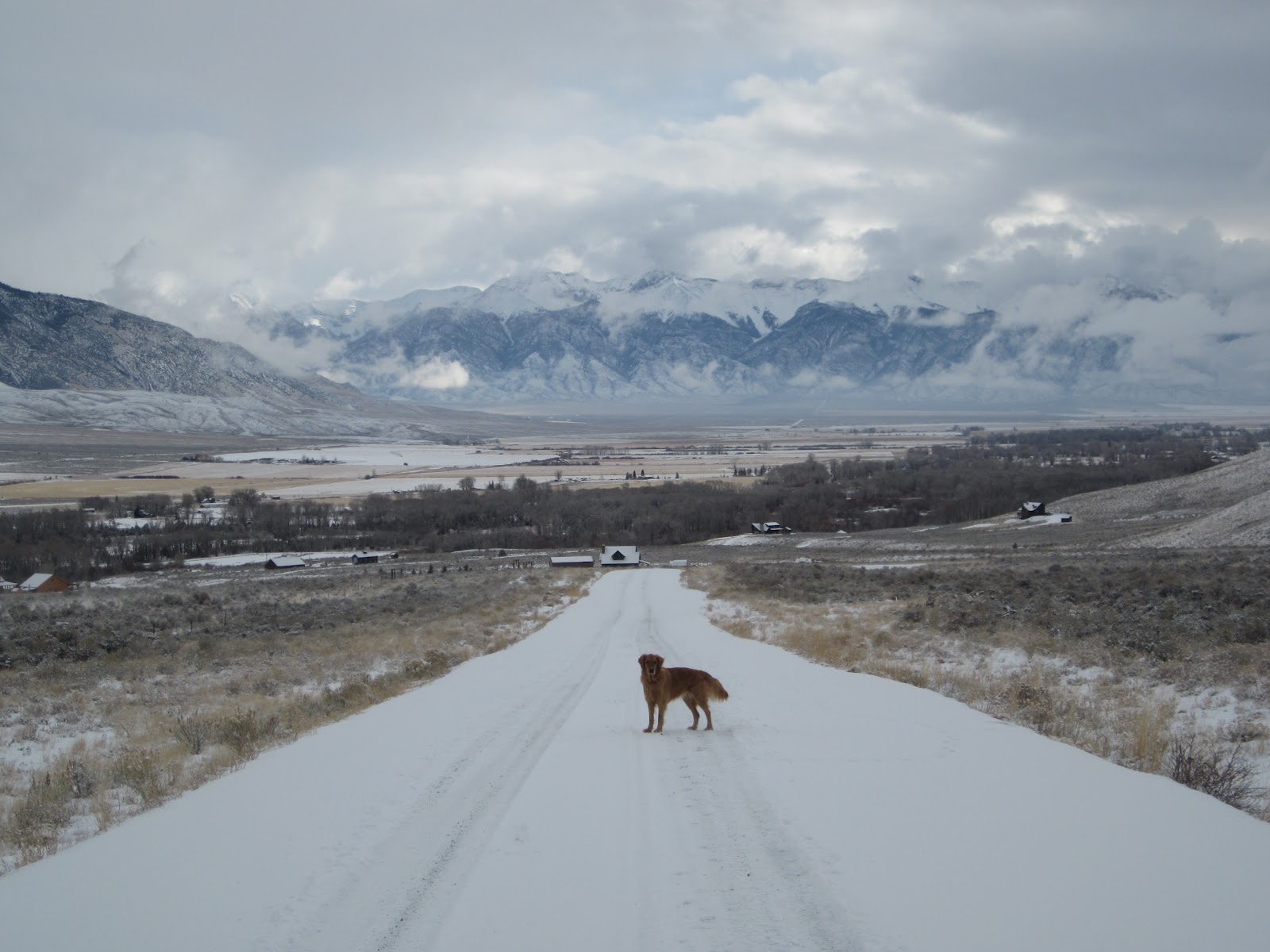 Mackay, Idaho 83251 New Snow and WIND in Mackay Idaho February 25 2012