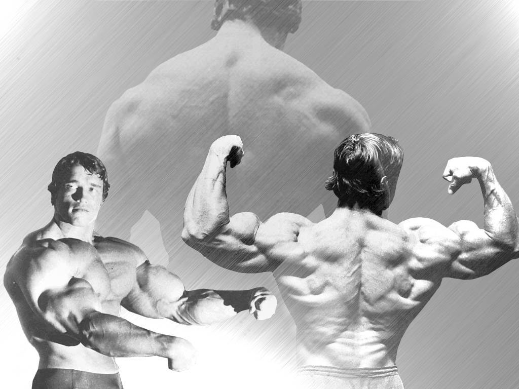 Bodybuilding Wallpaper Arnold Conquer