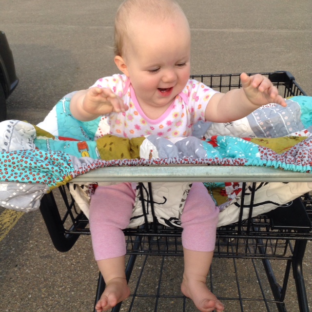 Daydreams of Quilts Patchwork Quilted Shopping Cart Cover